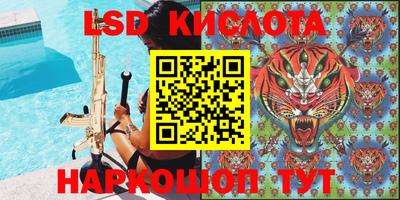 шишки Ставрополь