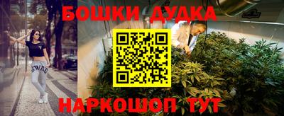шишки Ставрополь