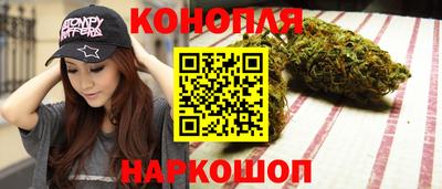 шишки Ставрополь